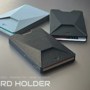 Credit Card Holder